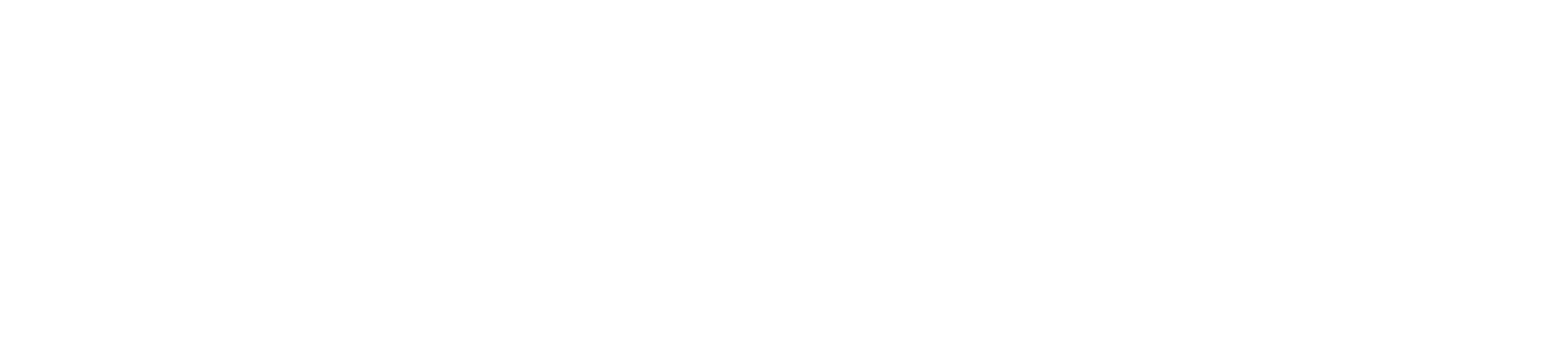TotalExpert logo